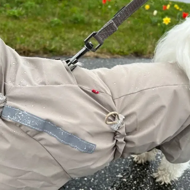 Pakketilbud | Ollipet Poncho m. snor