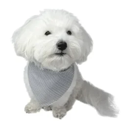 Pakketilbud | Ollipet shoppingnet og bandana m. striber