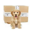 Pakketilbud | Puppy Surprise Box