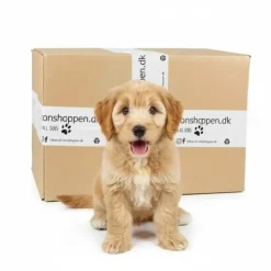 Pakketilbud | Puppy Surprise Box