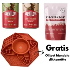 Pakketilbud | Stimuleret fodersæt med gratis slikkeplade