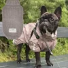 Pakketilbud | Strong body Pawfect Weather Gear