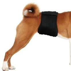 Pawise Gentleman wrap