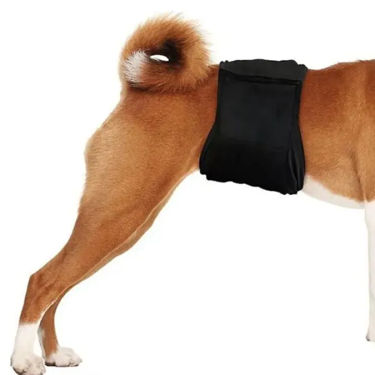 Pawise Gentleman wrap