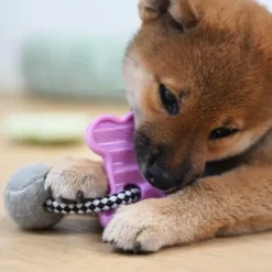 Pawise Puppy Life Reblegetøj m. Tennisbold og knogle
