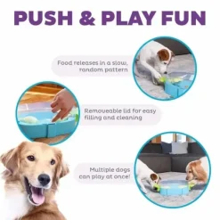 Paw N' Play Aktivitetsspil