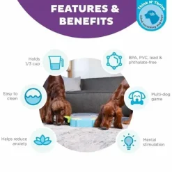 Paw N' Play Aktivitetsspil