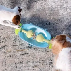 Paw N' Play Aktivitetsspil