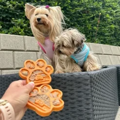 Pup Fun Spiselig slikkeplade | Mango 2 stk.