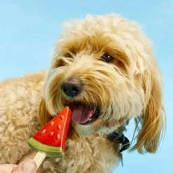 Pup Ice Frugt hundeis | Vandmelon 3 stk.