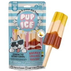Pup Ice Raket hundeis | Banan og Chokolade 2 stk.