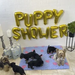 Puppy Shower Ballon | OUTLET