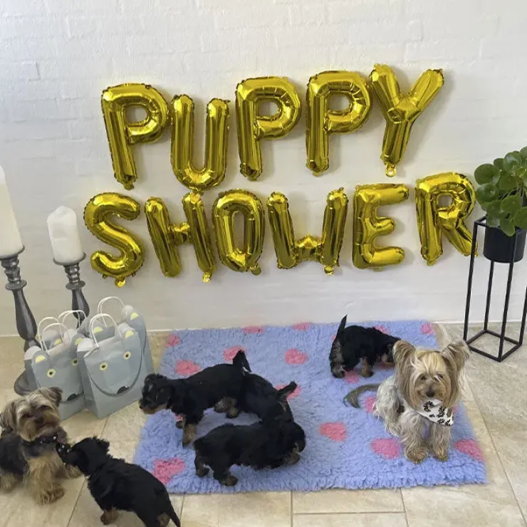 Puppy Shower Ballon | OUTLET