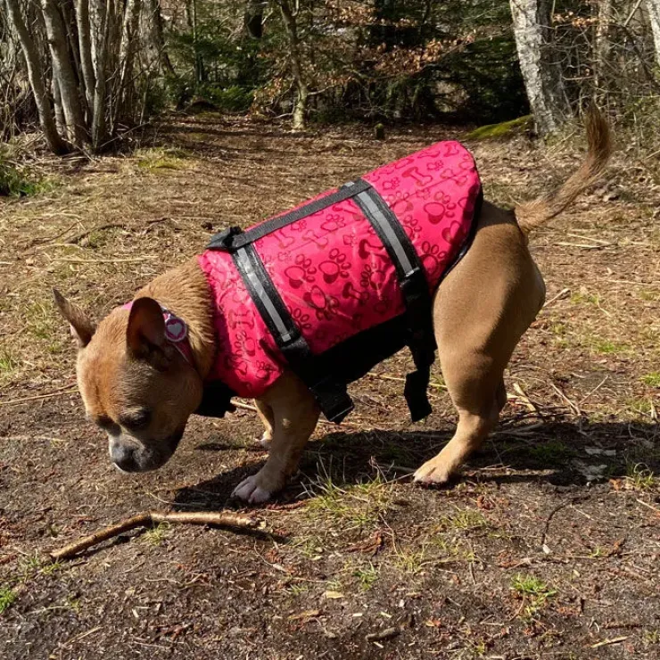 Redningsvest til små hunde