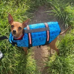 Redningsvest til små hunde