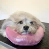 Show Tech Grooming Pude