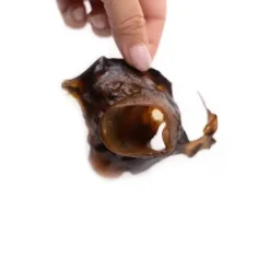 Snack'it Hestehud | 200g