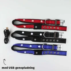 SOLID LED-halsbånd OUTLET