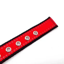 SOLID LED-halsbånd OUTLET