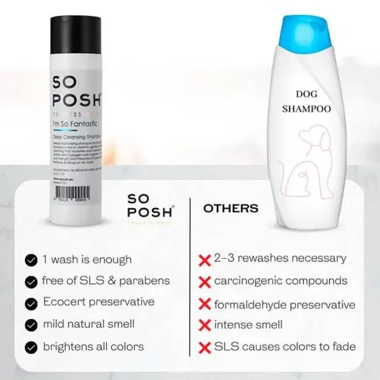 So Posh Professional I'm So Fantastic Shampoo