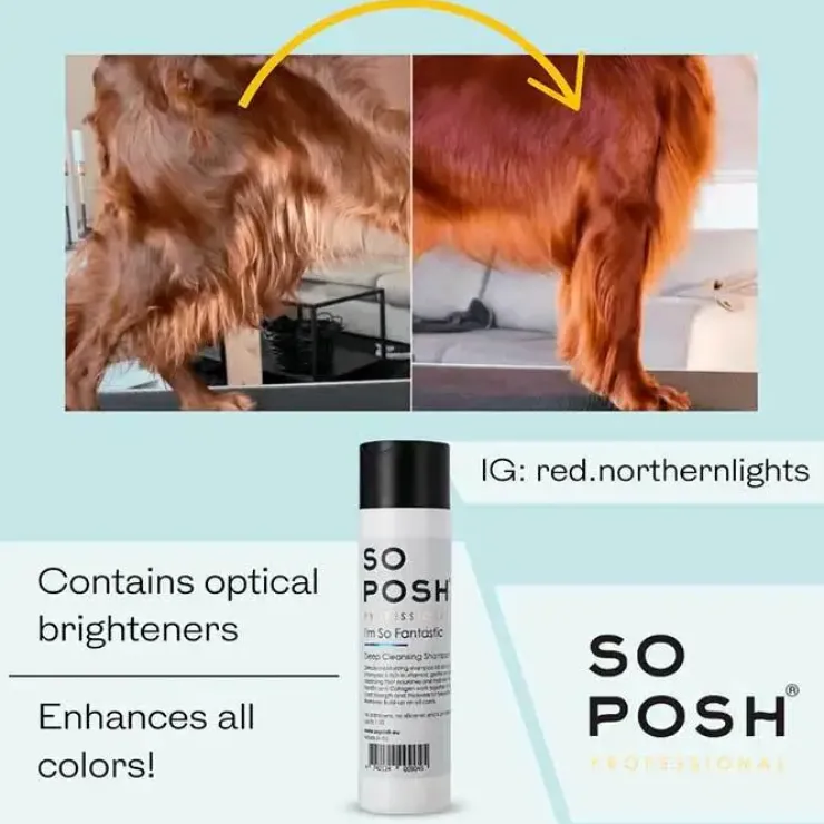 So Posh Professional I'm So Fantastic Shampoo