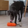 Standard Dummy