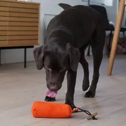 Standard Dummy