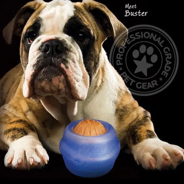 Starmark Everlasting Treat Ball Sassy