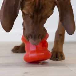 Starmark Everlasting Treat Fireplug