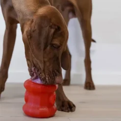 Starmark Everlasting Treat Fireplug
