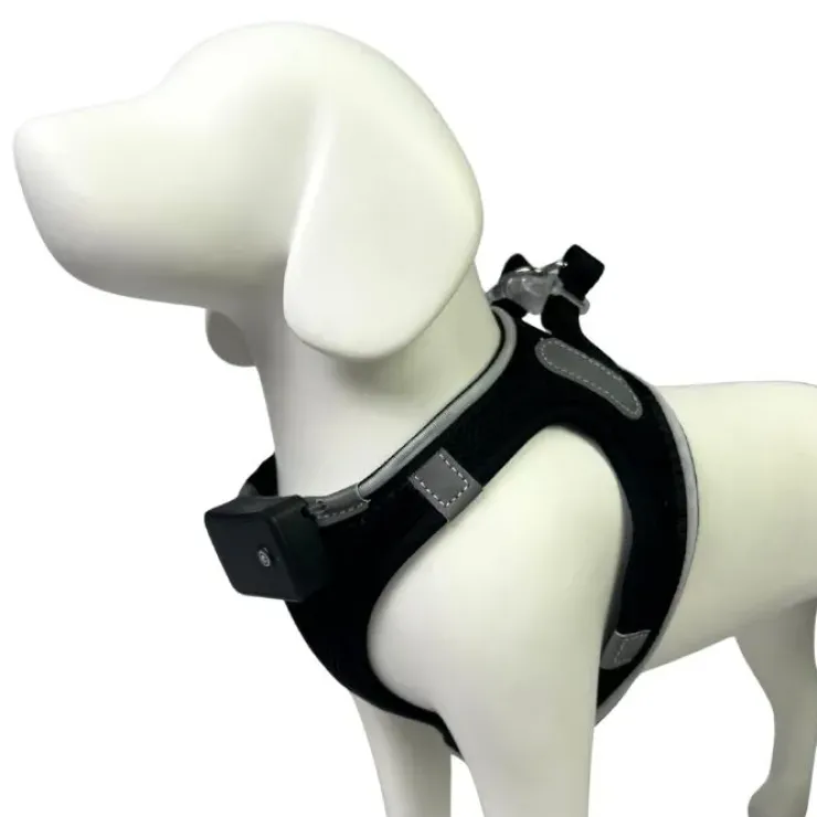 Step-in hundesele med LED-lys