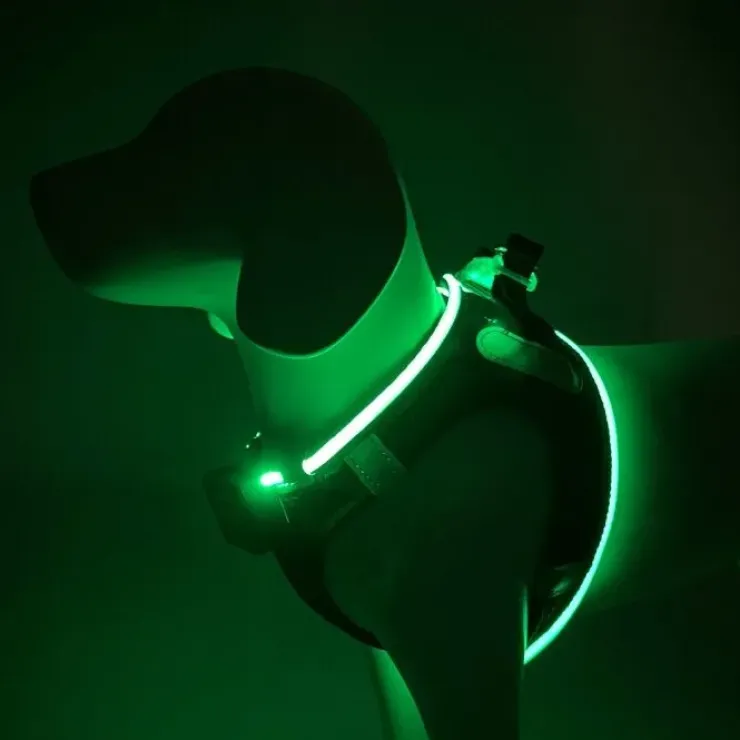 Step-in hundesele med LED-lys