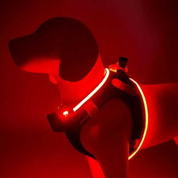 Step-in hundesele med LED-lys