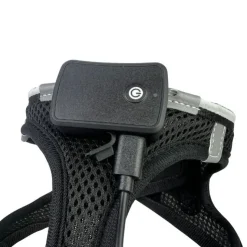 Step-in hundesele med LED-lys
