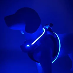 Step-in hundesele med LED-lys
