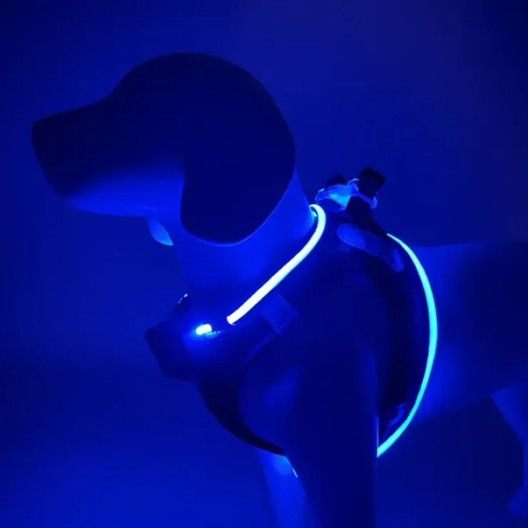 Step-in hundesele med LED-lys