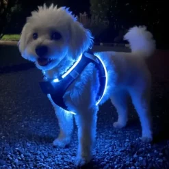 Step-in hundesele med LED-lys