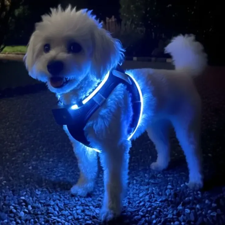 Step-in hundesele med LED-lys