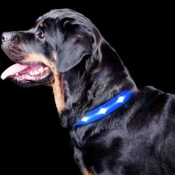 The Dots LED Collar | Halsbånd med LED lys