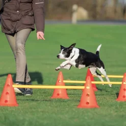 Trixie Agility forhindringssæt