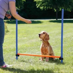 Trixie Agility Hurdle | Agility forhindring