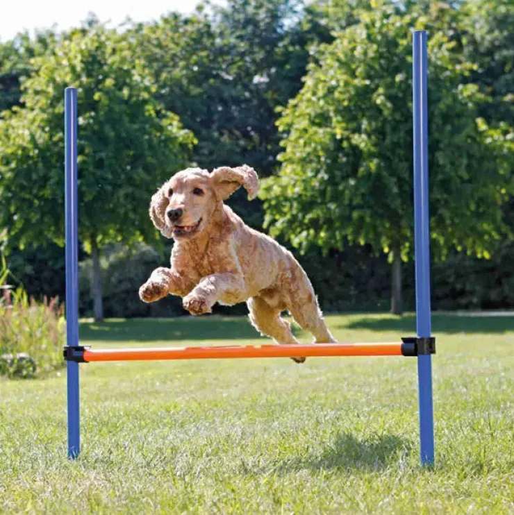 Trixie Agility Hurdle | Agility forhindring