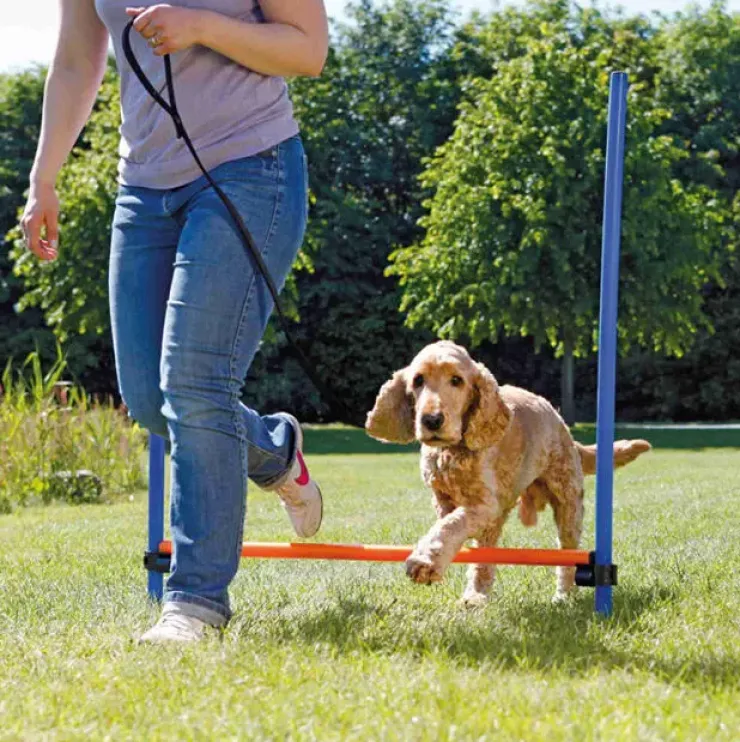 Trixie Agility Hurdle | Agility forhindring