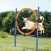 Trixie Agility Ring