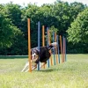 Trixie Agility Slalompinde