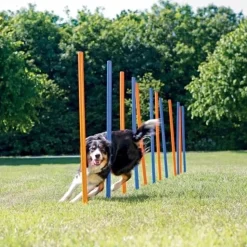 Trixie Agility Slalompinde