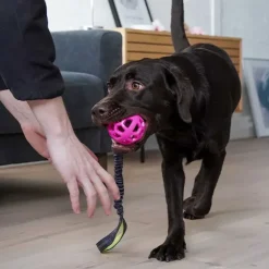 Trixie Bungee Tugger med bold