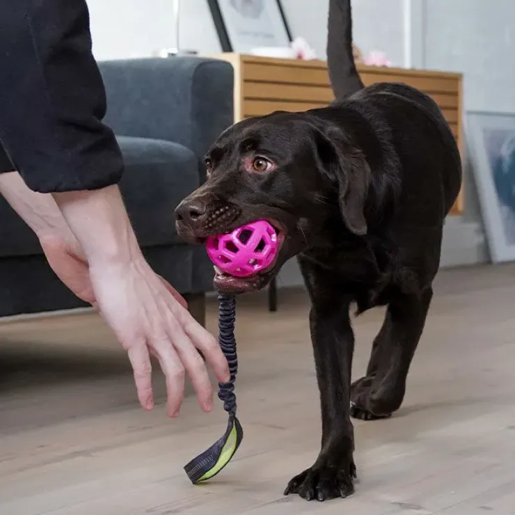 Trixie Bungee Tugger med bold