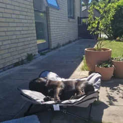 Trixie Campingseng til hunde