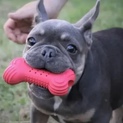Trixie Cooling Bone | Naturgummi